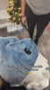 Load and play video in Gallery viewer, Shark Blanket - CozyShark Blanket - CloudyShark Blanket